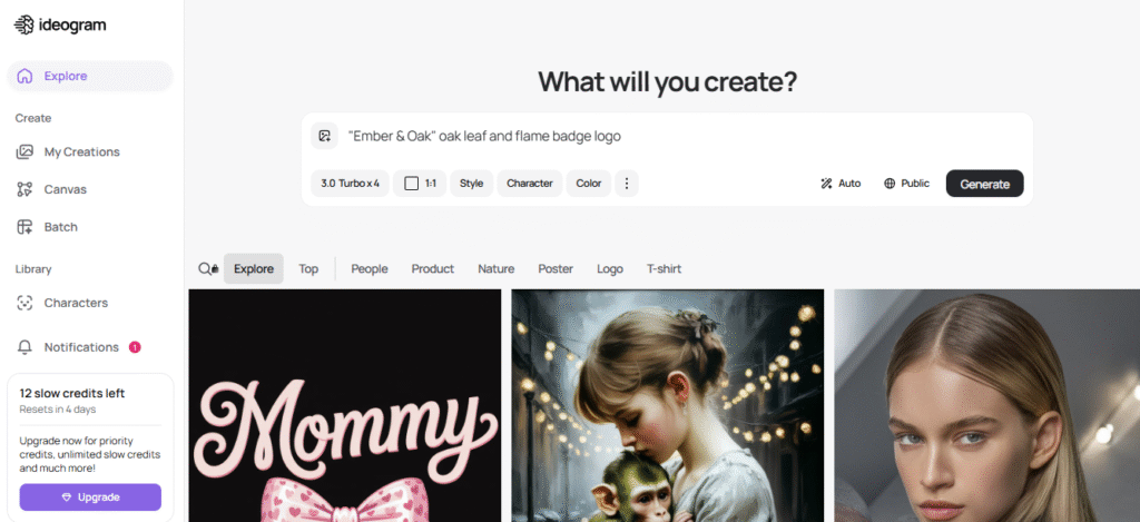 How Easy Is Ideogram to Use
